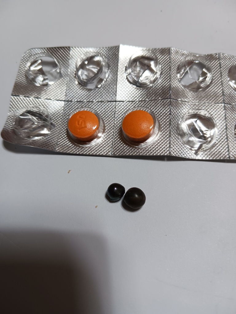 진주 감정부탁드립니다